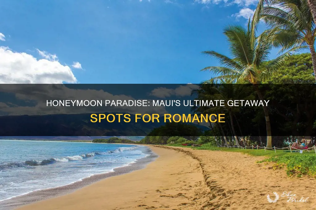 where to go in maui for honeymoon