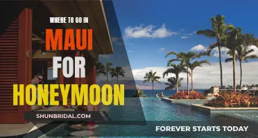 Maui's Honeymoon Hotspots: Where Romance Meets Adventure
