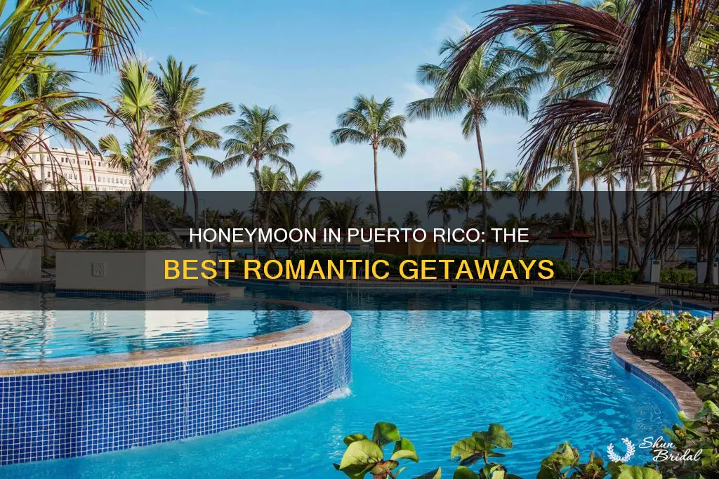 where to go in puerto rico for honeymoon