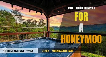 Tennessee Honeymoon: Scenic Mountain Getaways and City Escapes