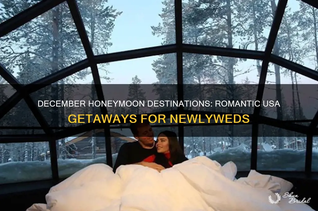 where to go on honeymoon in december in usa