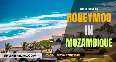 Honeymoon Paradise: Mozambique's Coastal Getaways for Unforgettable Adventures