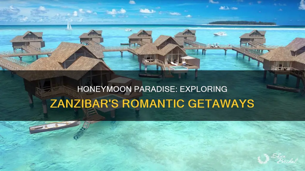 where to go on honeymoon in zanzibar