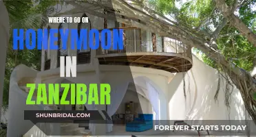 Zanzibar's Honeymoon Havens: An Island Paradise