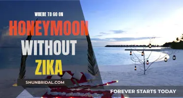 Honeymoon Destinations: Zika-Free Paradise for Newlyweds