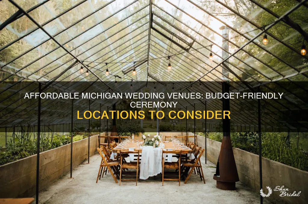 where to have a cheap wedding ceremony in Michigan