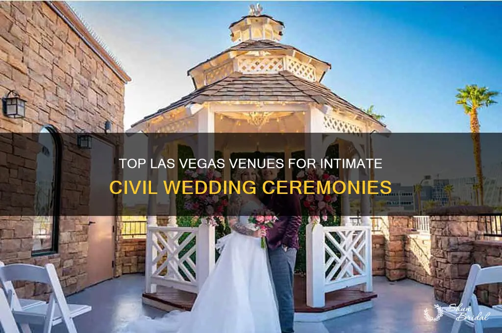 where to have a civil wedding ceremony in las vegas