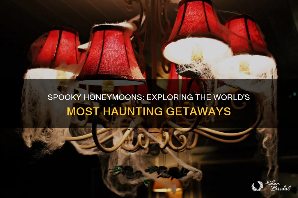 where to have a scary honeymoon