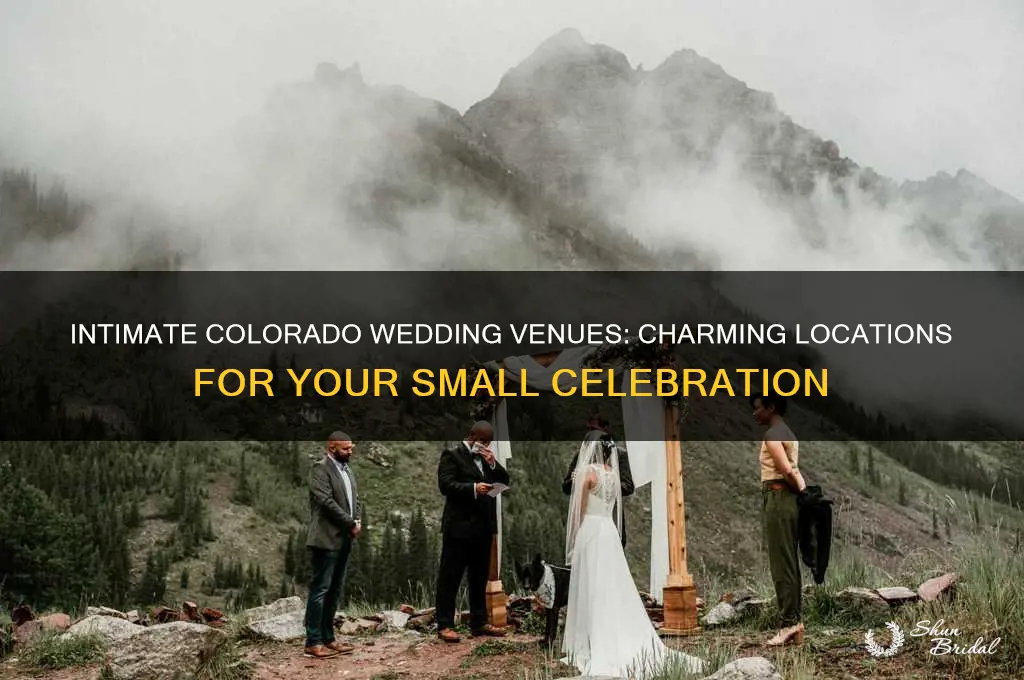 where to have a small wedding in colorado