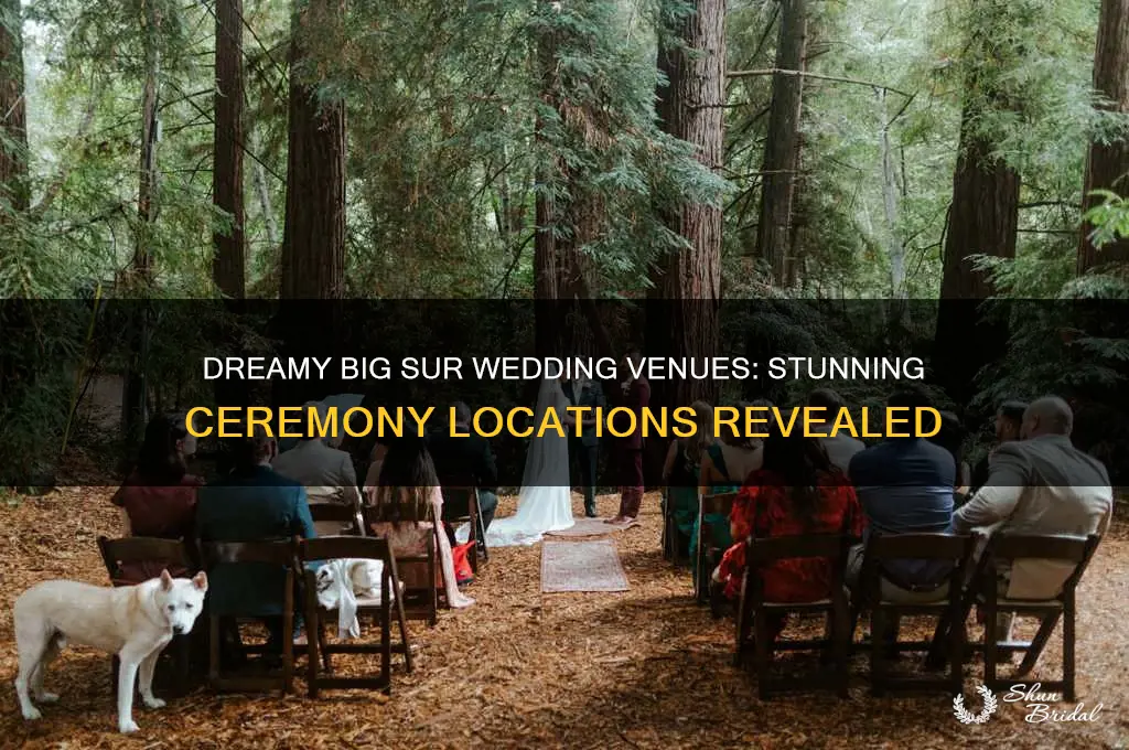 where to have a wedding ceremony big sur