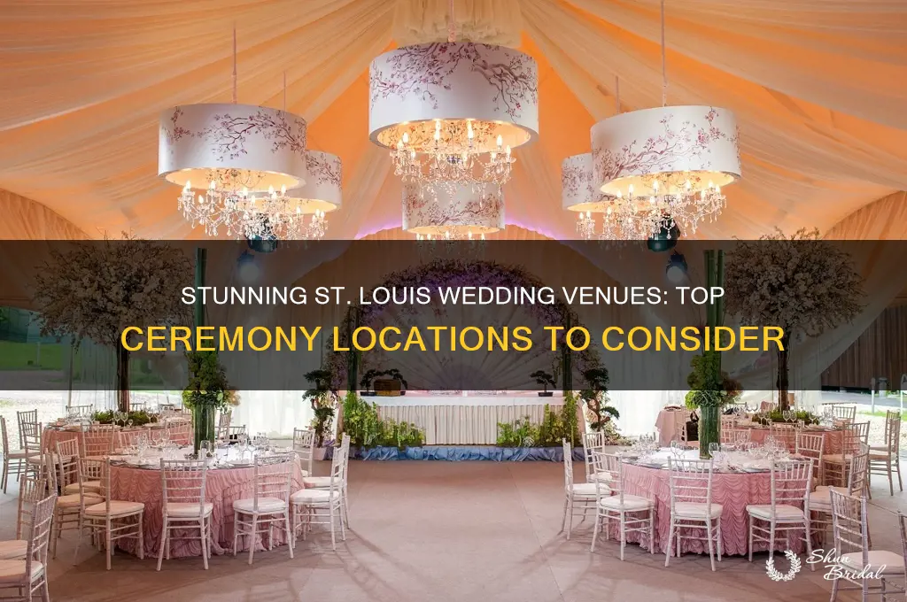 where to have a wedding ceremony st louis mo