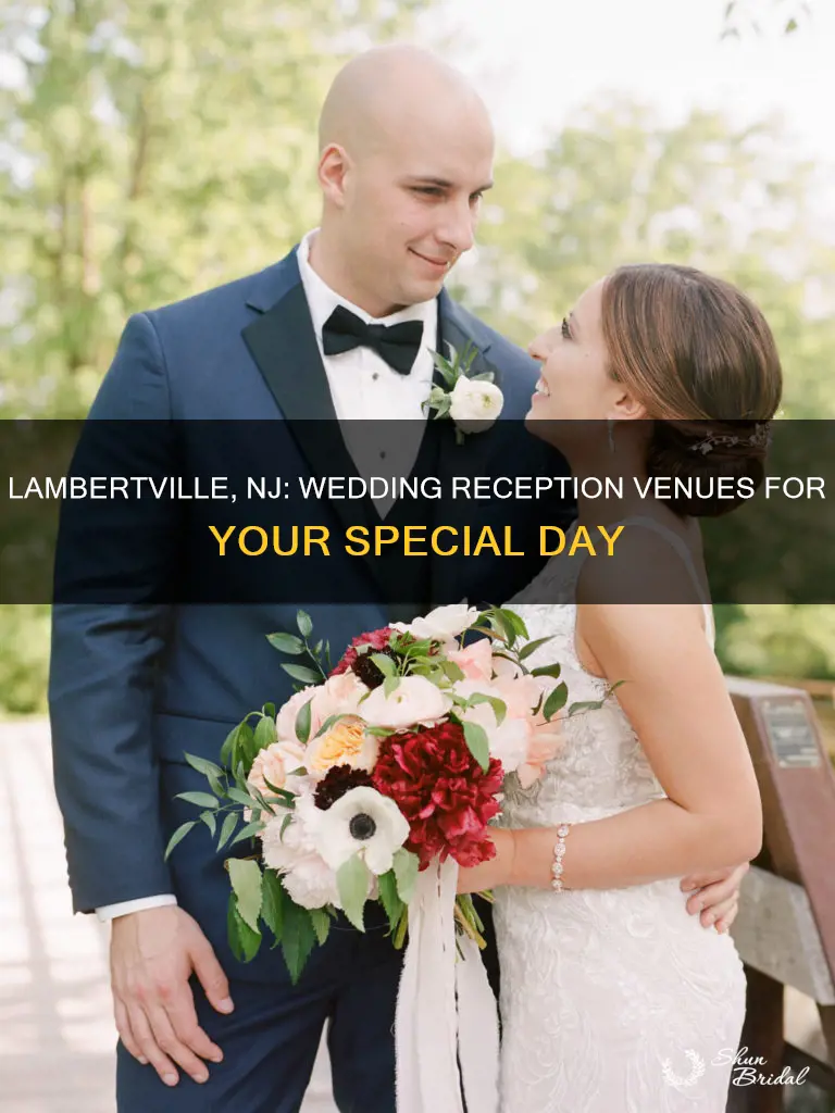 where to have a wedding reception in lambertville nj