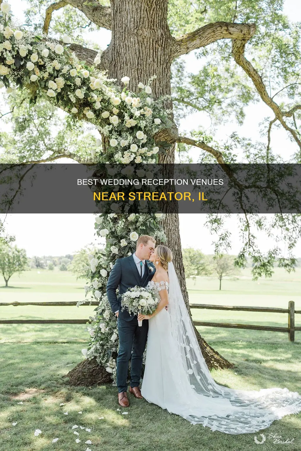 where to have a wedding reception in near streator il