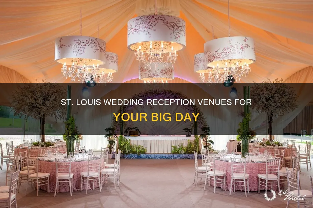 where to have a wedding reception in st louis