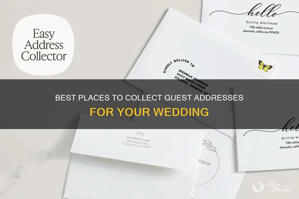 where to have people post adresses for wedding