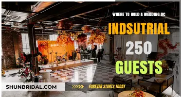 Top DC Industrial Wedding Venues for 250 Guests: A Guide