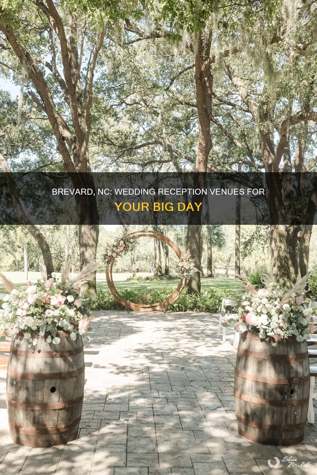 where to hold a wedding reception in brevard nc