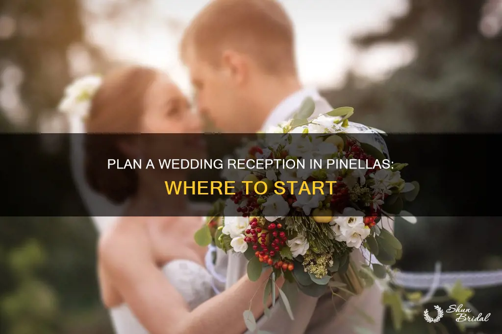 where to hold a wedding reception pinellas