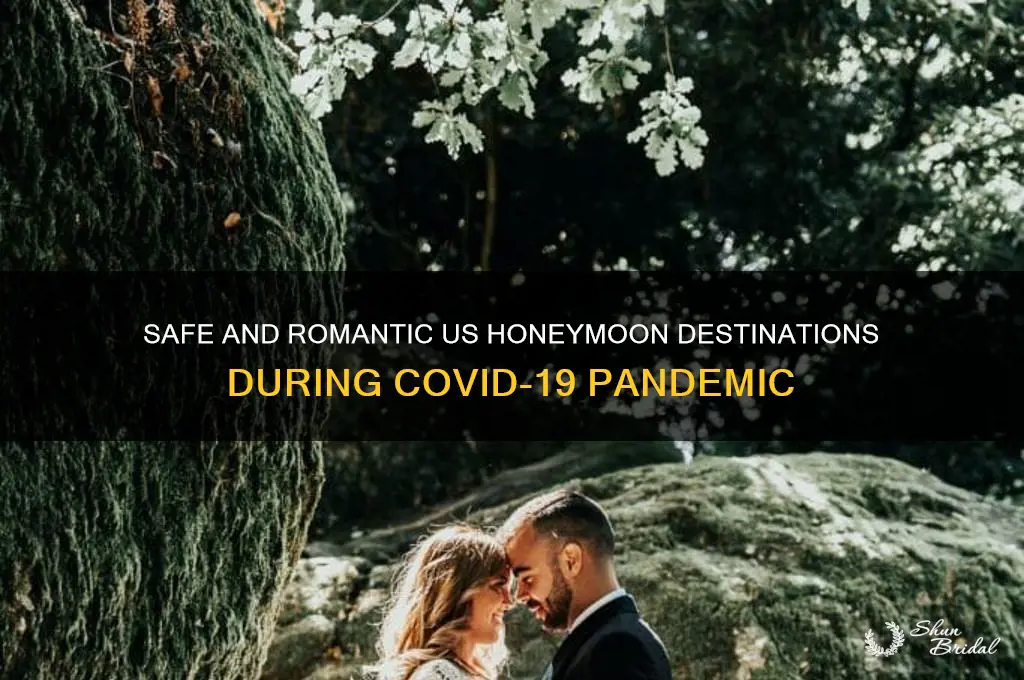 where to honeymoon during covid in us