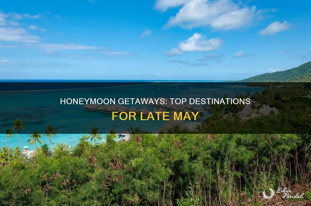 where to honeymoon end of may