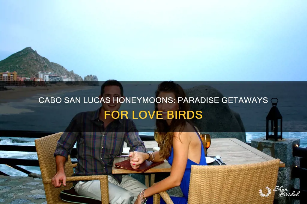 where to honeymoon in cabo san lucas