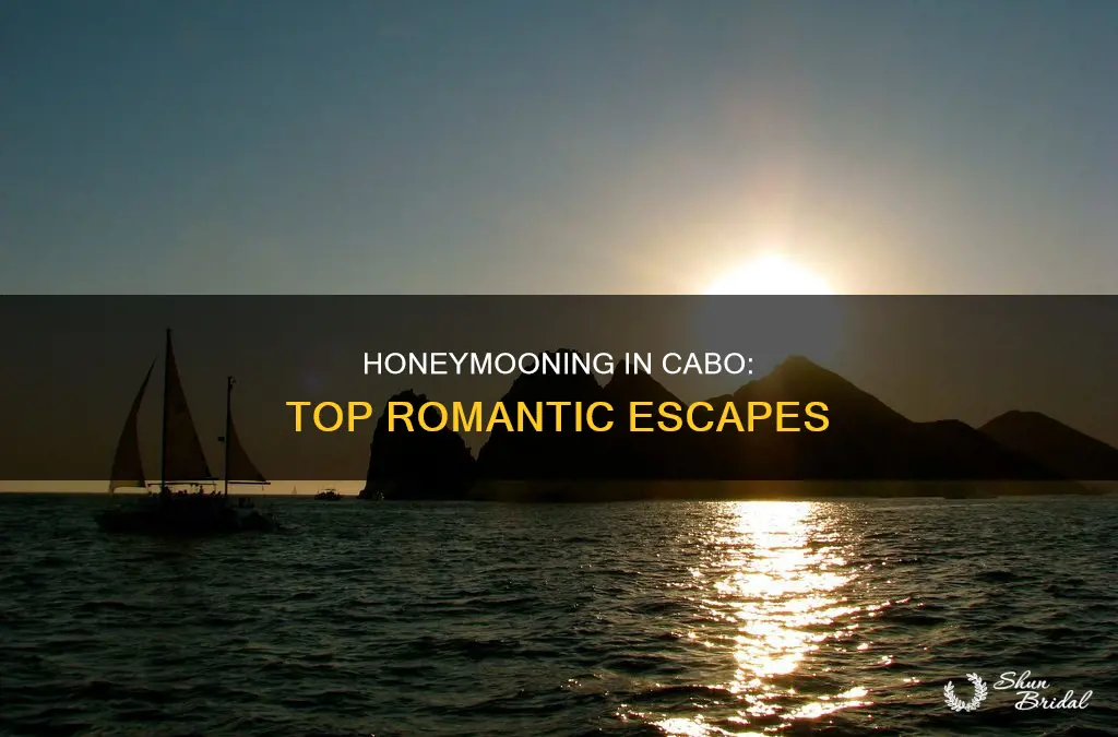 where to honeymoon in cabo san lucas