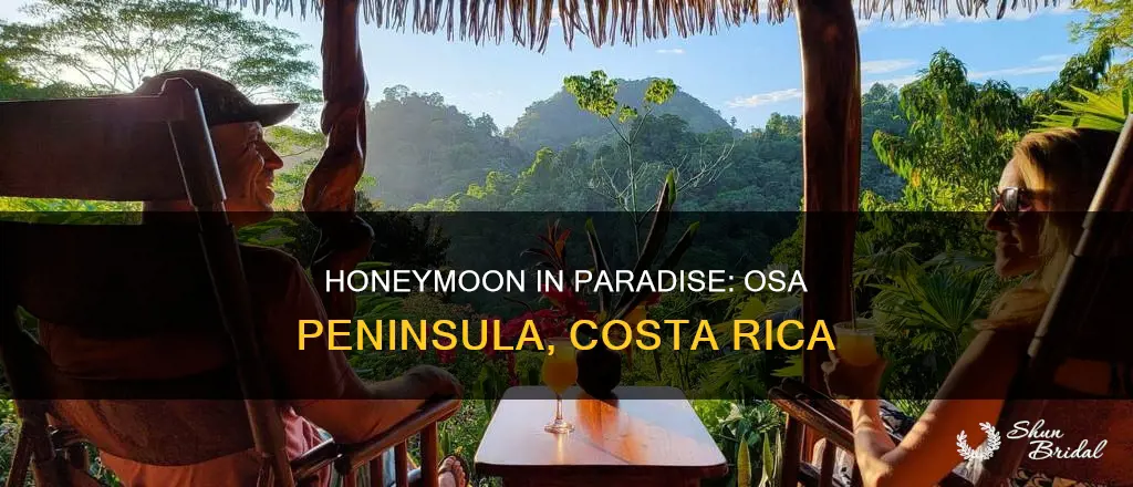 where to honeymoon in costa rica osa peninsula