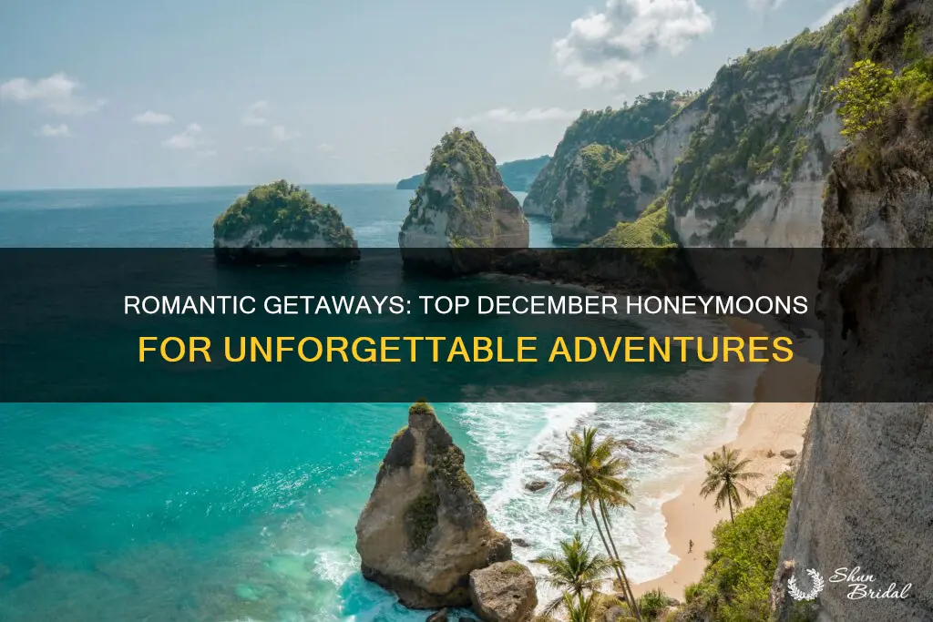 where to honeymoon in december