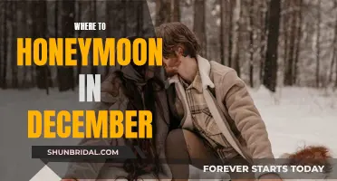 Winter Honeymoon Destinations for December Newlyweds