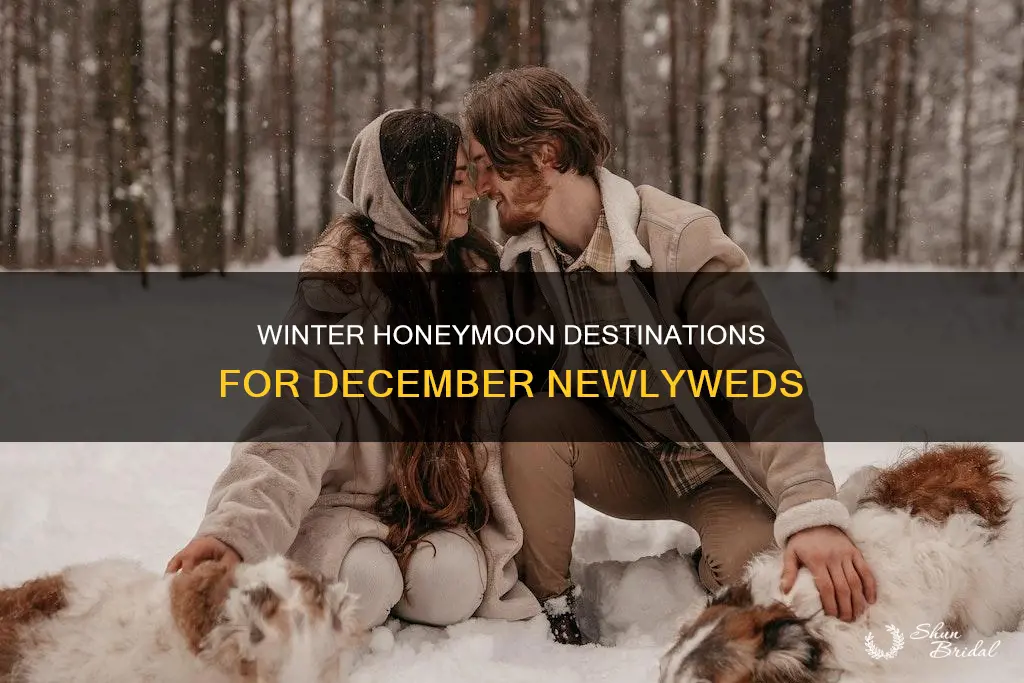 where to honeymoon in december