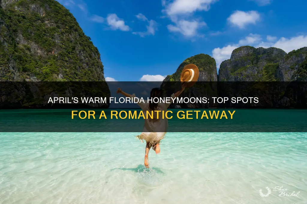 where to honeymoon in fl in april warm