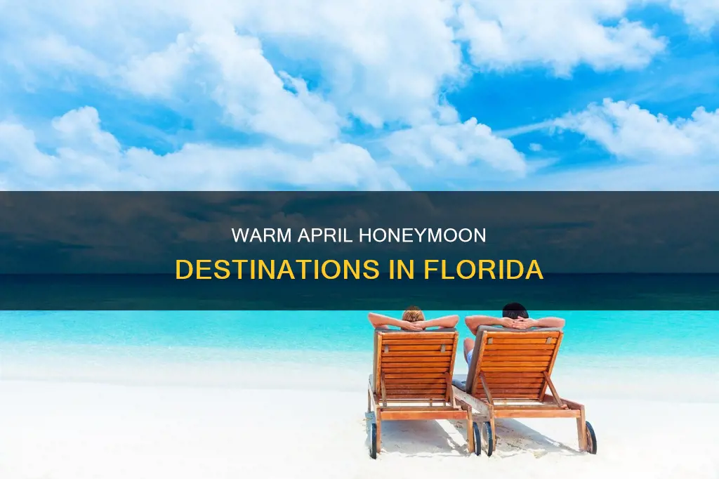 where to honeymoon in fl in april warm