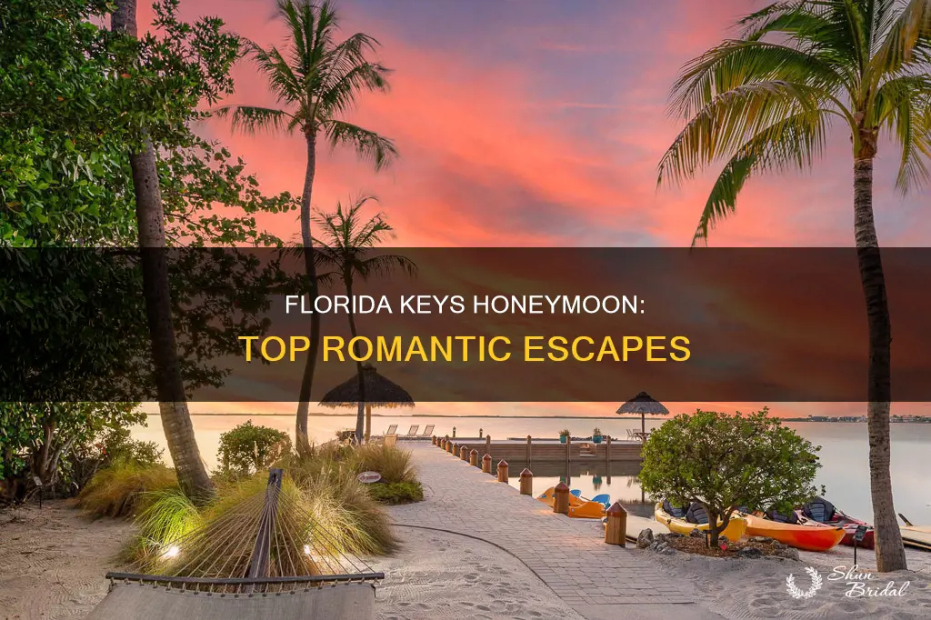 where to honeymoon in Florida keys