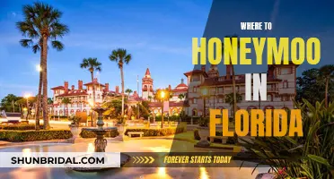 Honeymoon Hotspots in Florida: Where to Go?