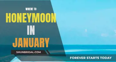 Winter Honeymoon Destinations for January Newlyweds
