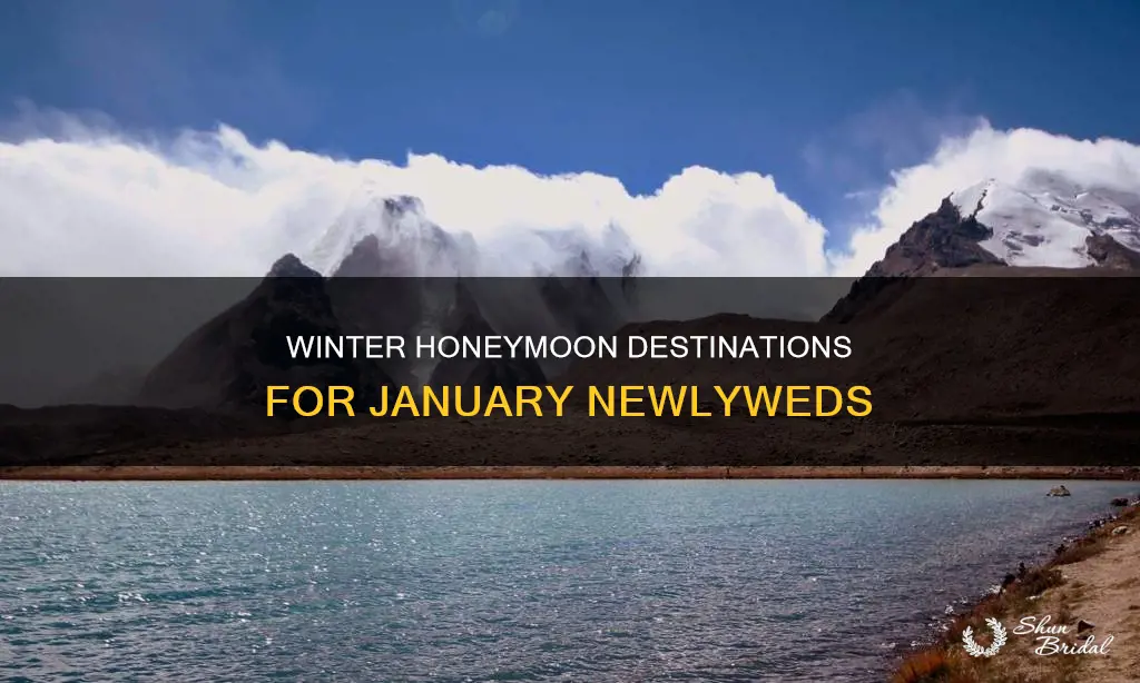 where to honeymoon in january
