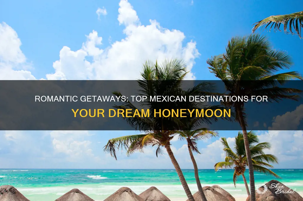 where to honeymoon in mexico