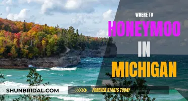 Honeymoon Hotspots in Michigan: Where to Go?