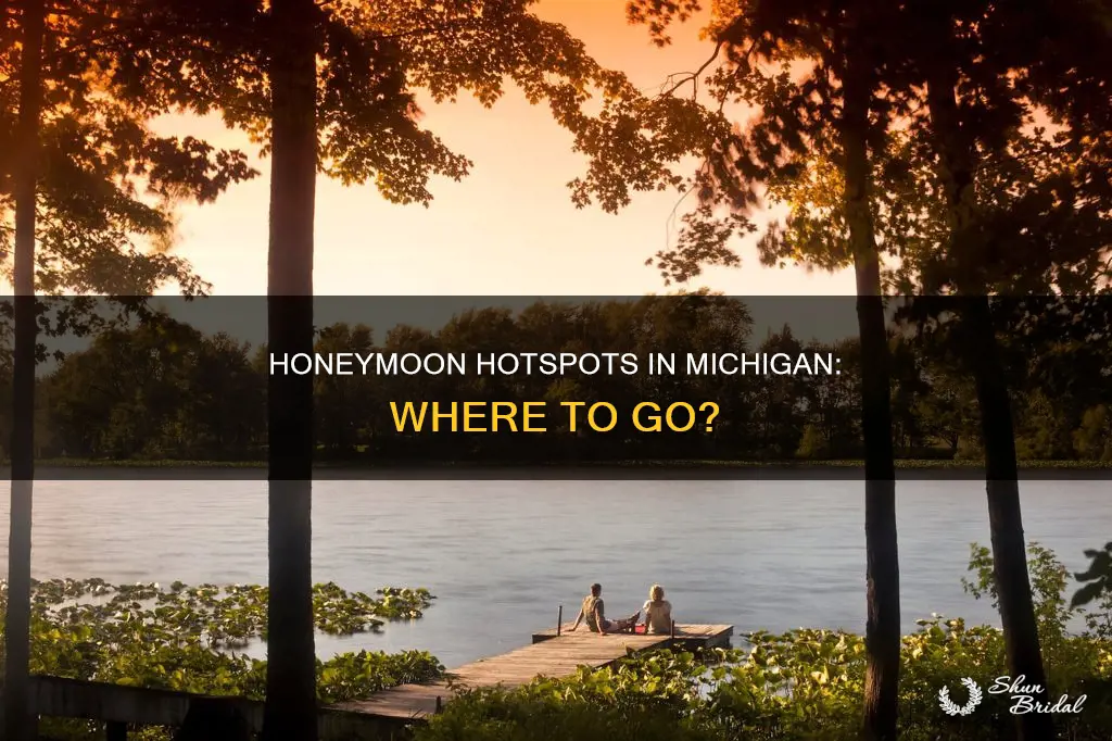 where to honeymoon in Michigan