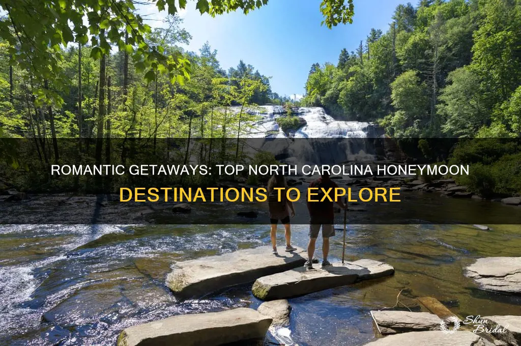 where to honeymoon in nc