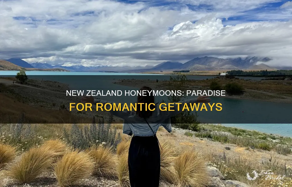 where to honeymoon in new zealand