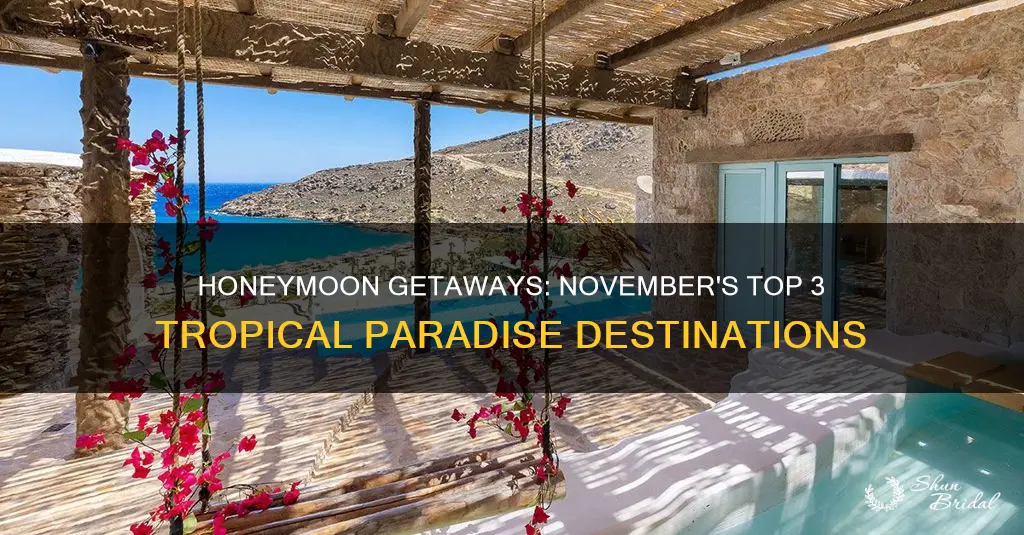 where to honeymoon in november