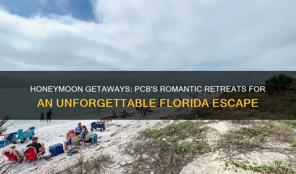 where to honeymoon in pcb florida