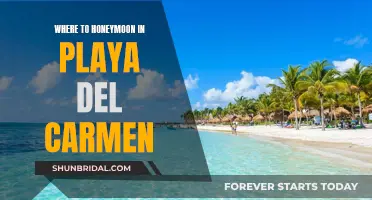 Honeymooners' Guide to Playa del Carmen's Best Kept Secrets