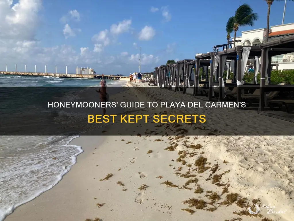 where to honeymoon in playa del carmen