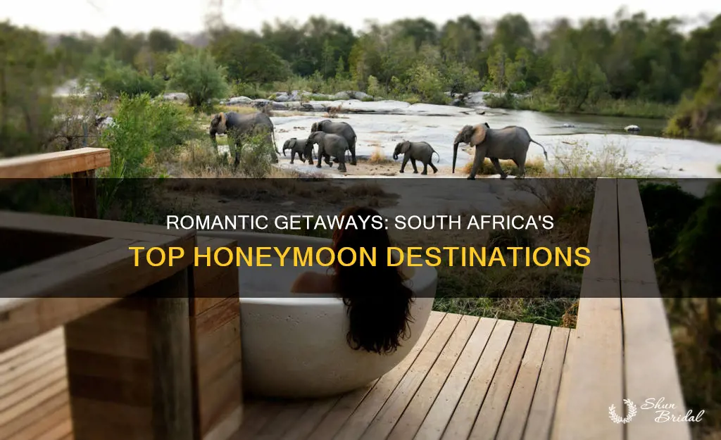 where to honeymoon in south africa