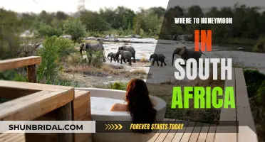 Honeymoon Destinations in South Africa: Top Romantic Spots