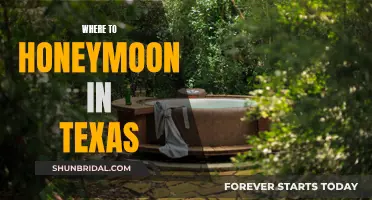 Texas Honeymoons: Romantic Getaways in the Lone Star State