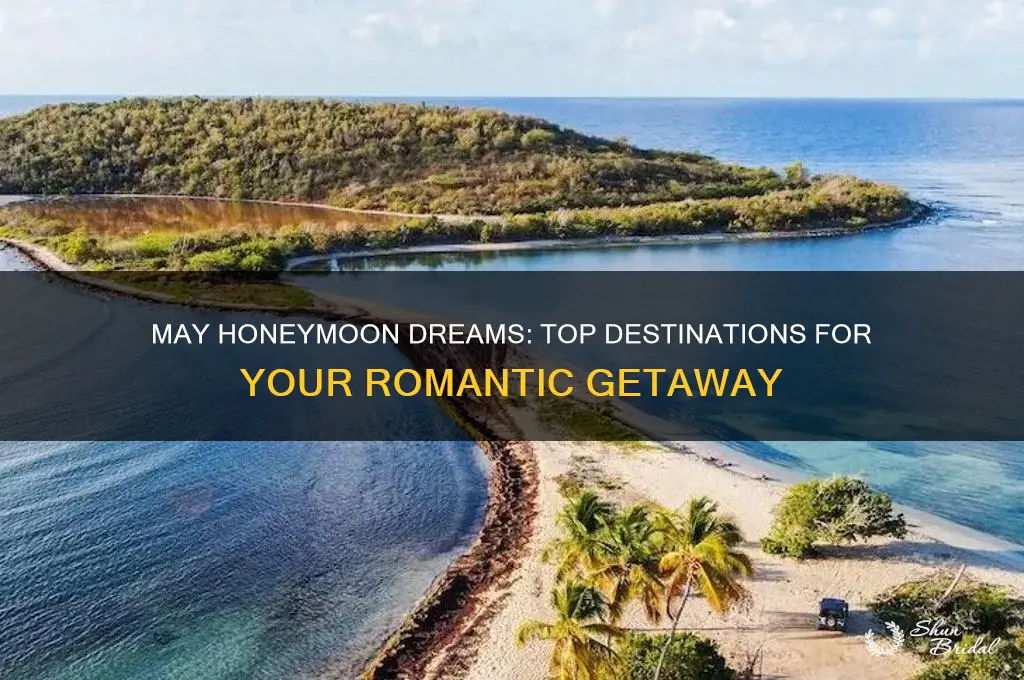 where to honeymoon may honeymoon dreams honeymoon honeymoon dreams may