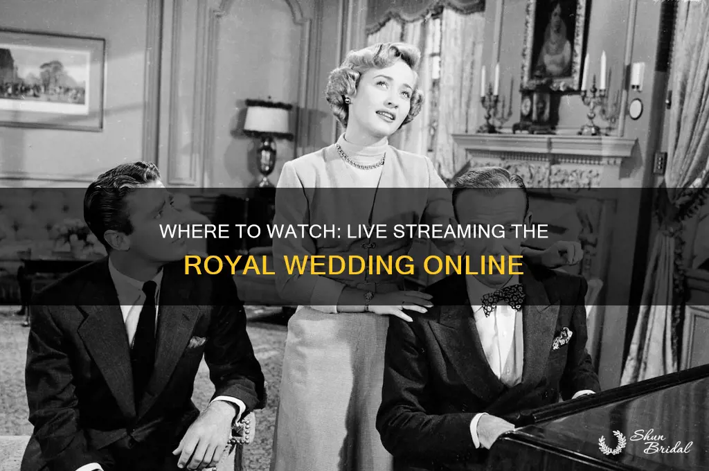 where to live stream royal wedding